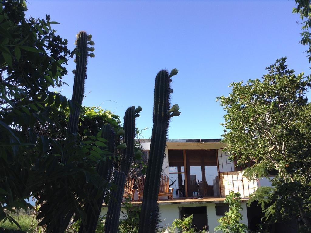 Hotel Welcoming Vibes Treasure Beach Esterno foto